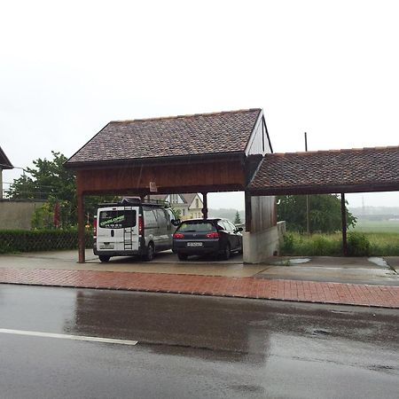 Au Coeur Du Vignoble Sur Bursins Bed & Breakfast Екстериор снимка