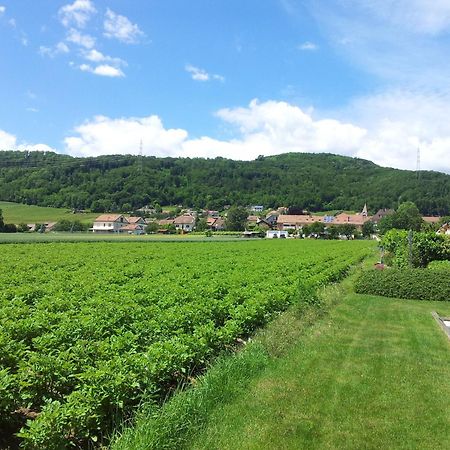 Au Coeur Du Vignoble Sur Bursins Bed & Breakfast Екстериор снимка