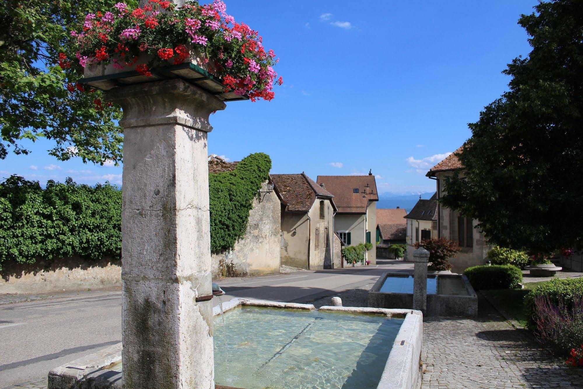 Au Coeur Du Vignoble Sur Bursins Bed & Breakfast Екстериор снимка